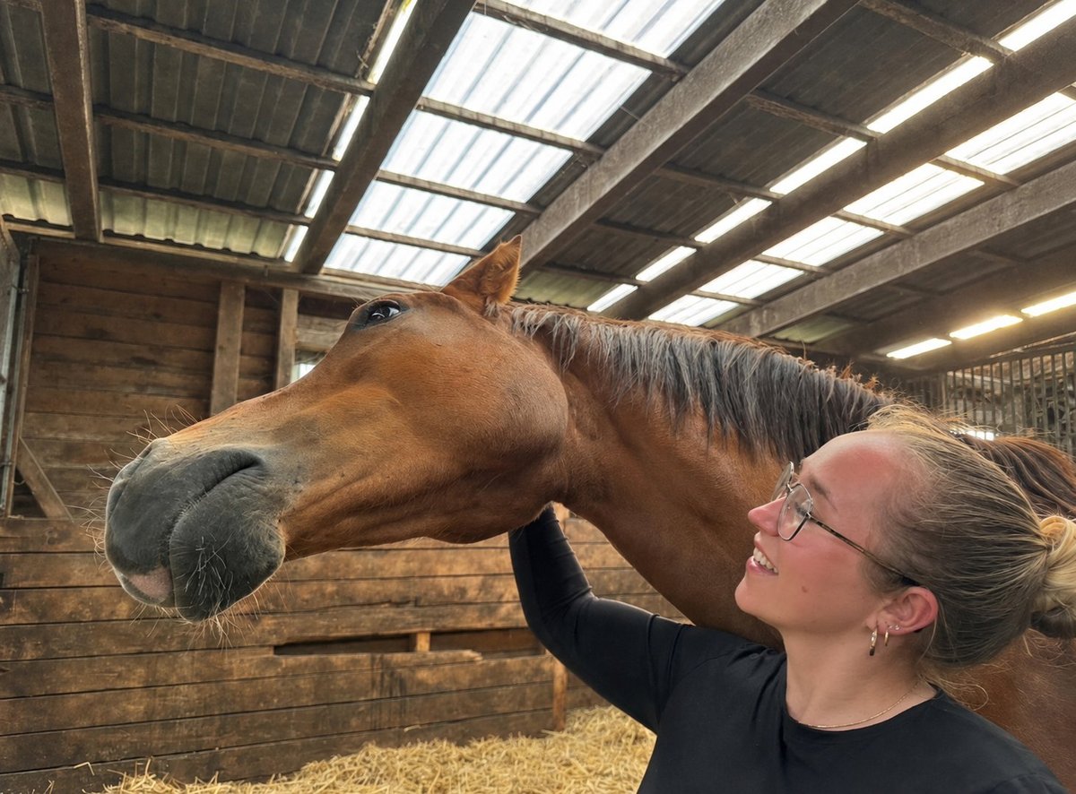 Tierphysiotherapeutische Behandlung – Leonie Lieke