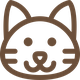 Katze