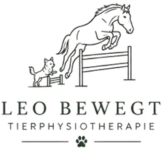 Leo Bewegt Tierphysiotherapie